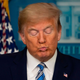 Illustration for article titled This Week in More Lies From the President: You Know Who’s to Blame for Scottie Pippen’s Horrible Contract? Governors and Obama!